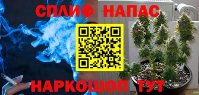 гашик Коммунар