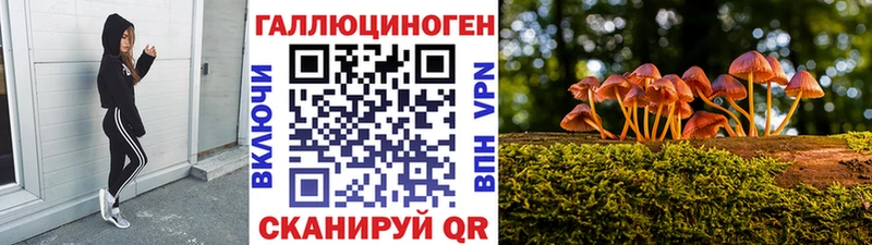 Псилоцибиновые грибы прущие грибы  Новочебоксарск 